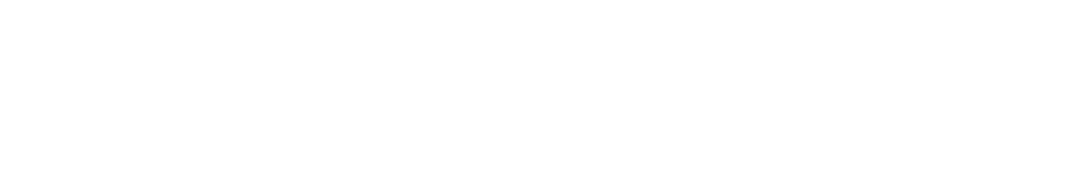 sanzza-logotipo-2023